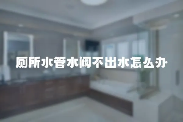 廁所水管水閥不出水怎么辦