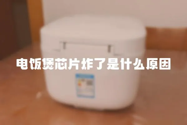 電飯煲芯片炸了是什么原因