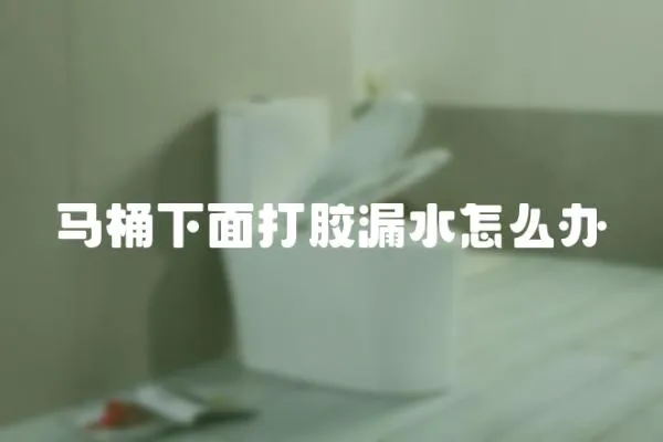 馬桶下面打膠漏水怎么辦