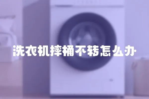 洗衣機摔桶不轉怎么辦
