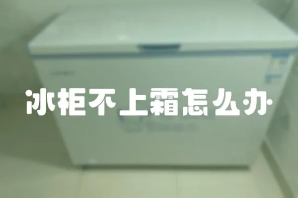 冰柜不上霜怎么辦
