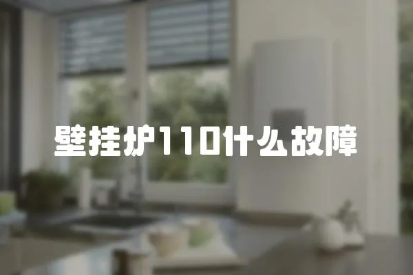 壁掛爐110什么故障