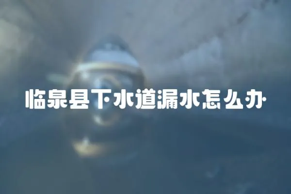 臨泉縣下水道漏水怎么辦
