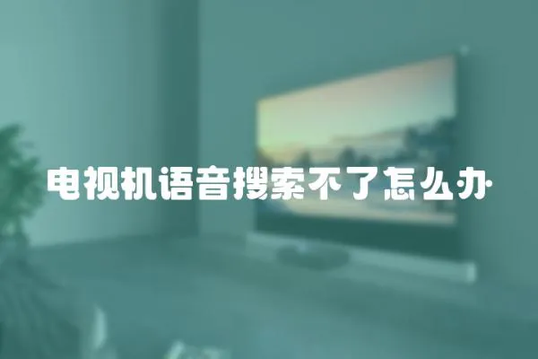電視機(jī)語(yǔ)音搜索不了怎么辦