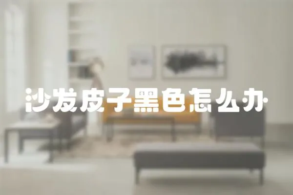 沙發皮子黑色怎么辦