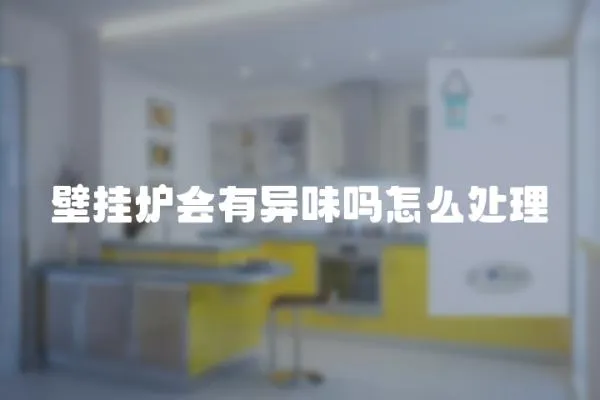 壁掛爐會有異味嗎怎么處理