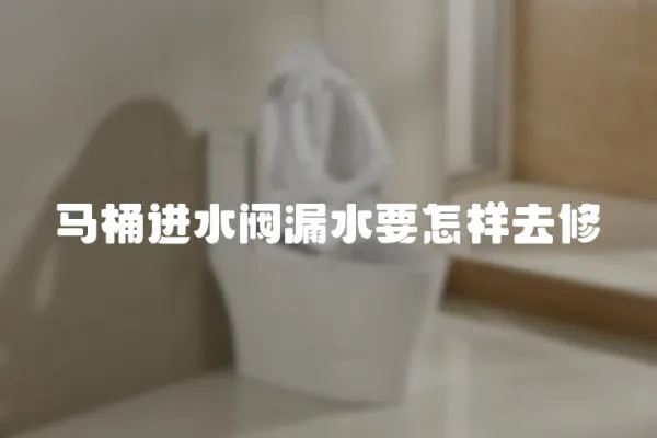 馬桶進(jìn)水閥漏水要怎樣去修