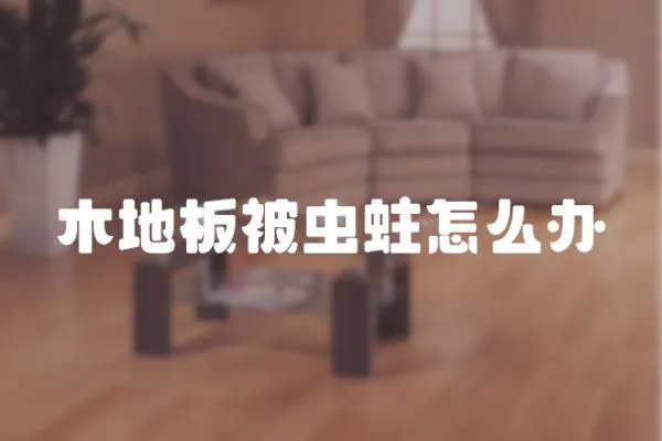 木地板被蟲蛀怎么辦