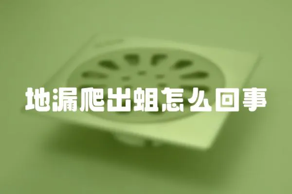 地漏爬出蛆怎么回事