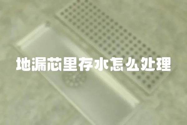 地漏芯里存水怎么處理