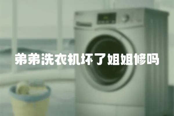 弟弟洗衣機壞了姐姐修嗎