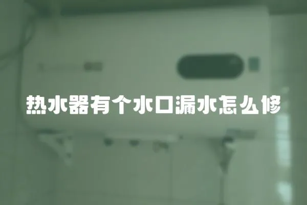 熱水器有個(gè)水口漏水怎么修