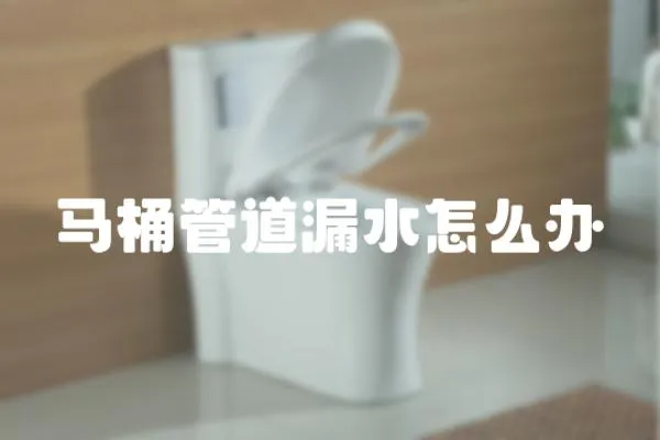 馬桶管道漏水怎么辦