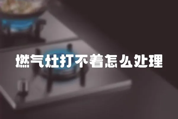 燃?xì)庠畲虿恢趺刺幚?></a></div>
                    </div>
                    <div   id=