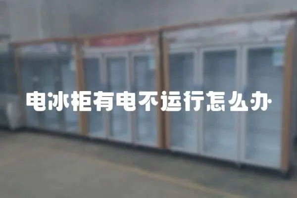 電冰柜有電不運行怎么辦