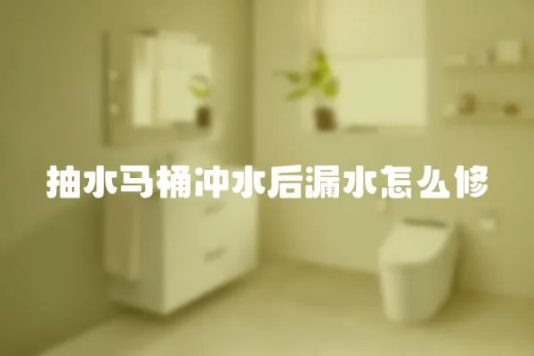 抽水馬桶沖水后漏水怎么修