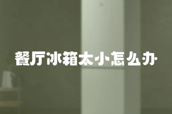 餐廳冰箱太小怎么辦