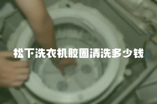 松下洗衣機膠圈清洗多少錢