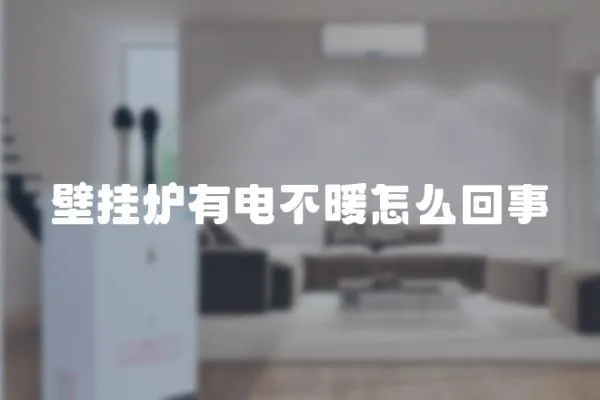 壁掛爐有電不暖怎么回事