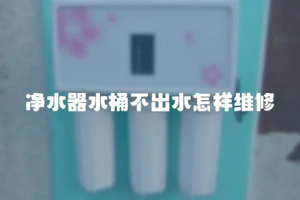 凈水器水桶不出水怎樣維修