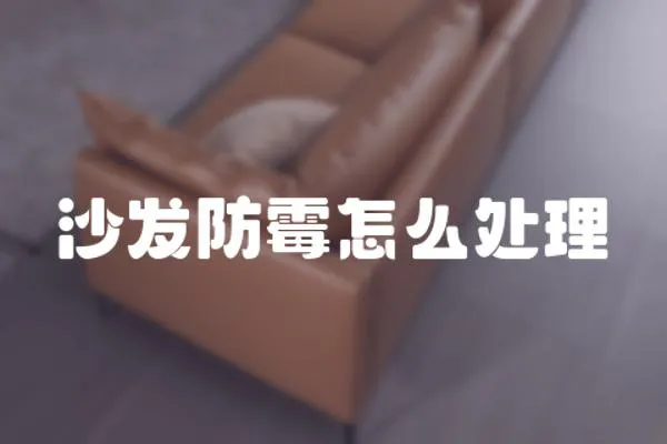 沙發防霉怎么處理
