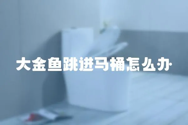 大金魚跳進馬桶怎么辦