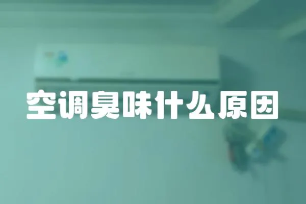 空調(diào)臭味什么原因
