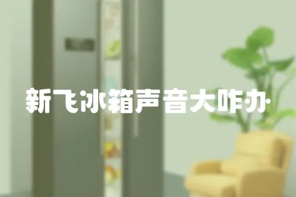 新飛冰箱聲音大咋辦
