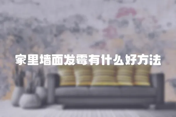 家里墻面發霉有什么好方法
