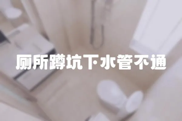 廁所蹲坑下水管不通