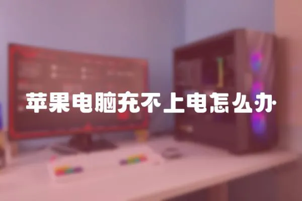 蘋果電腦充不上電怎么辦