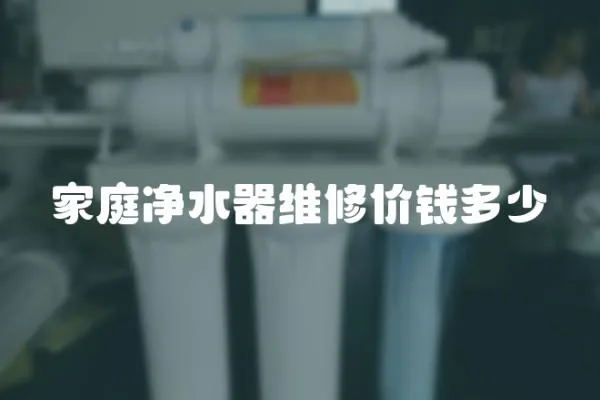 家庭凈水器維修價錢多少