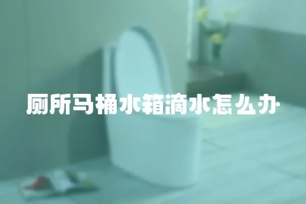 廁所馬桶水箱滴水怎么辦