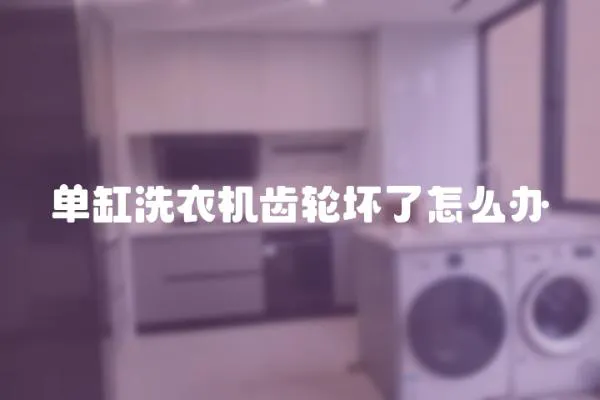 單缸洗衣機齒輪壞了怎么辦