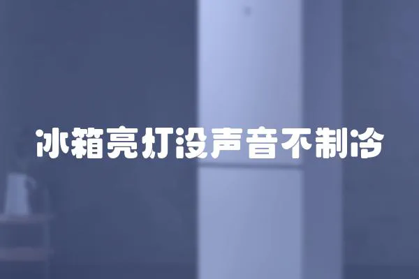 冰箱亮燈沒聲音不制冷