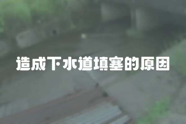 造成下水道填塞的原因