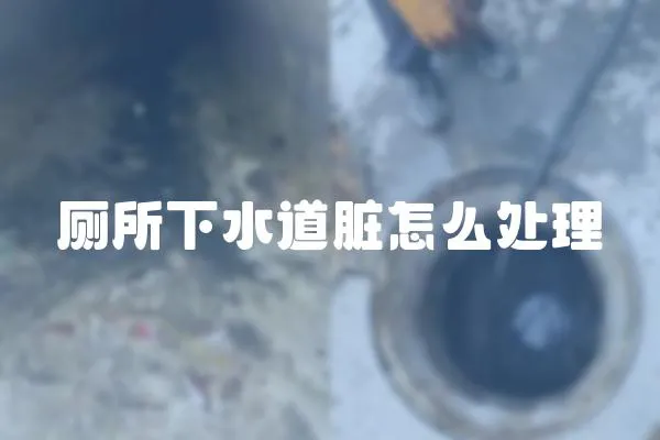 廁所下水道臟怎么處理