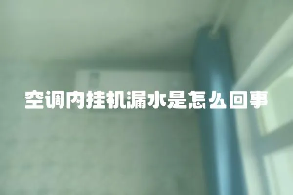 空調(diào)內(nèi)掛機漏水是怎么回事