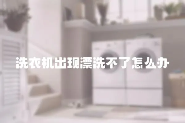 洗衣機(jī)出現(xiàn)漂洗不了怎么辦