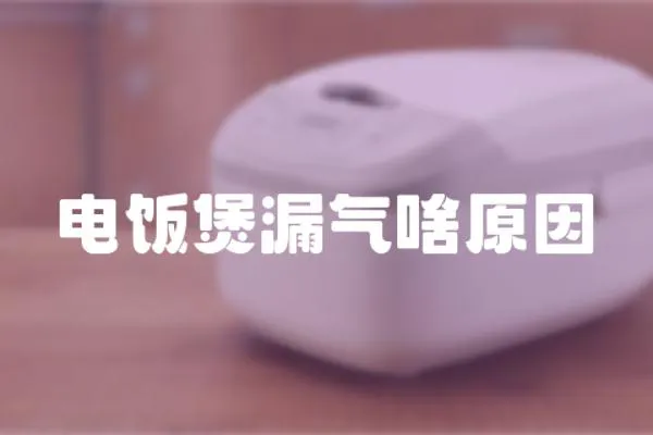 電飯煲漏氣啥原因