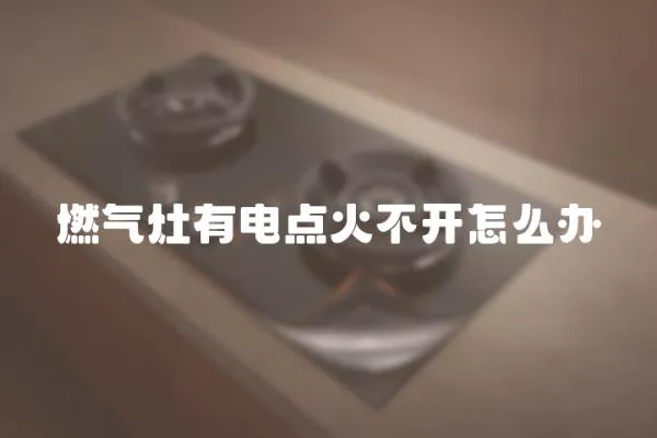 燃?xì)庠钣须婞c(diǎn)火不開怎么辦