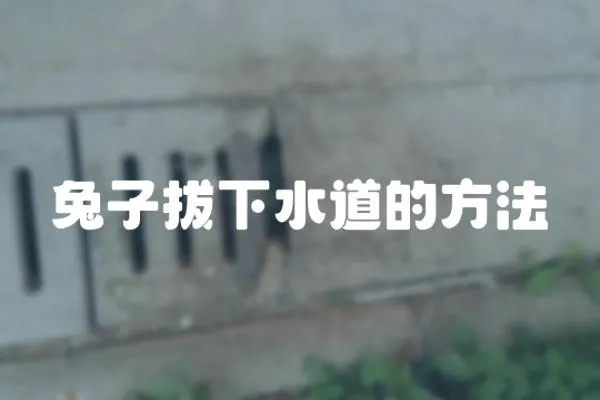 兔子拔下水道的方法