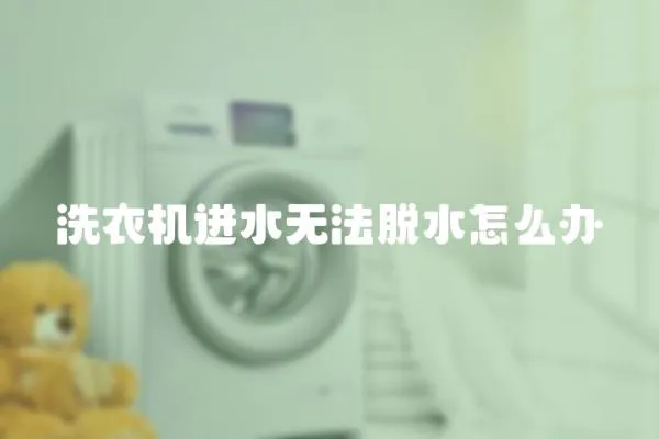 洗衣机进水无法脱水怎么办