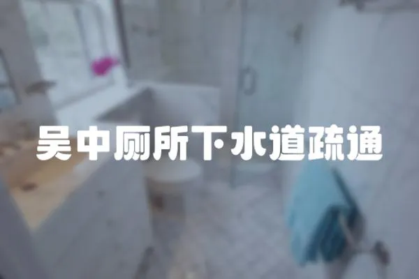 吳中廁所下水道疏通