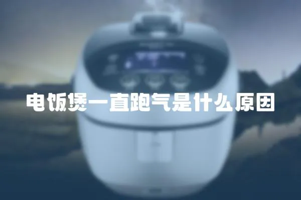 電飯煲一直跑氣是什么原因