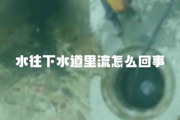 水往下水道里流怎么回事