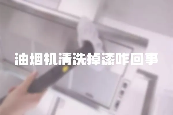 油煙機清洗掉漆咋回事