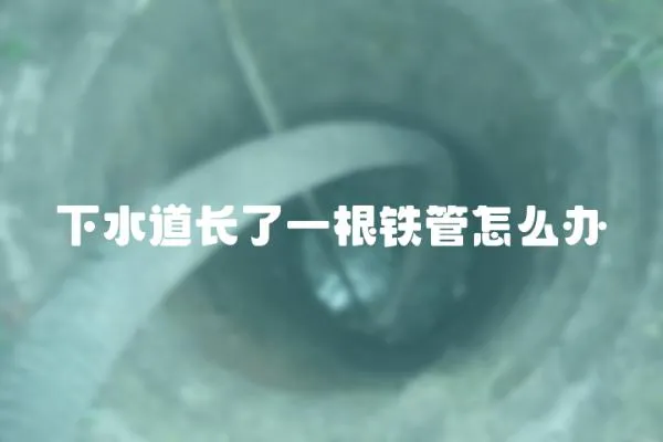 下水道長(zhǎng)了一根鐵管怎么辦