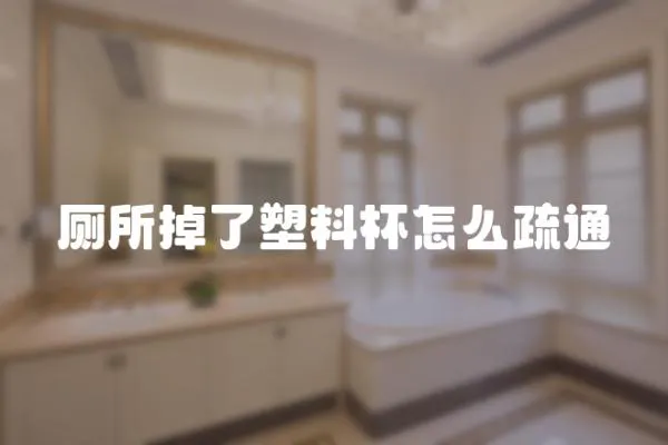 廁所掉了塑料杯怎么疏通