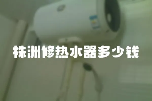 株洲修熱水器多少錢